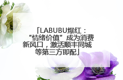 LABUBU爆红：“情绪价值”成为消费新风口，激活顺丰同城等第三方即配